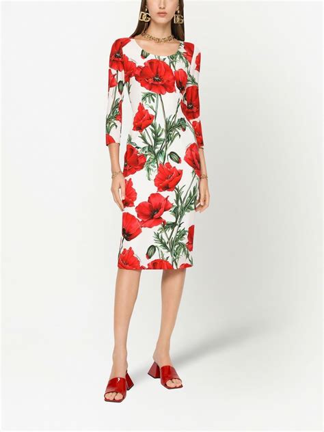 dolce gabbana poppy dress|Dolce & Gabbana poppy.